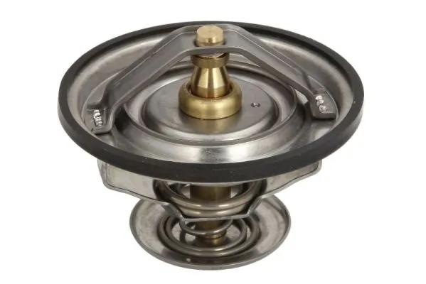 Termostat lichid racire