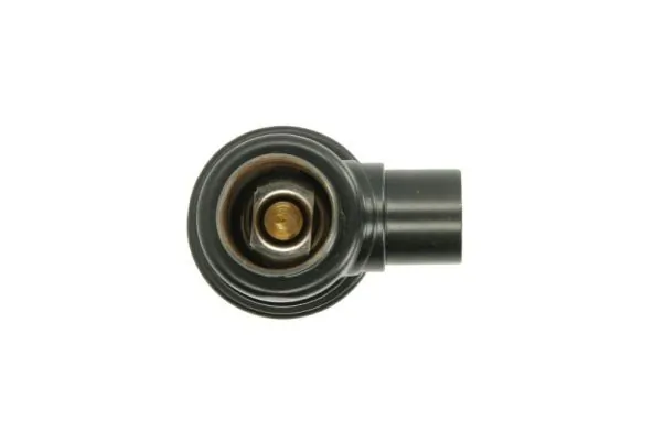 Termostat lichid racire