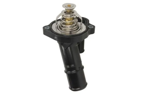 Termostat lichid racire