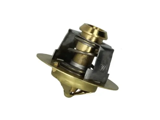 Termostat lichid racire