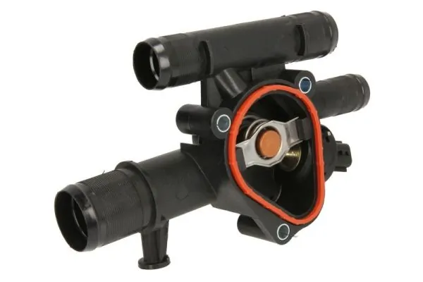 Termostat lichid racire