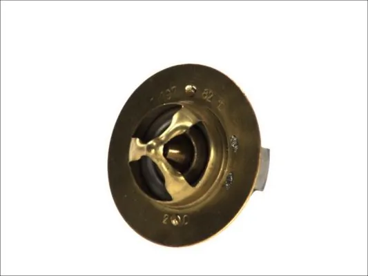 Termostat lichid racire