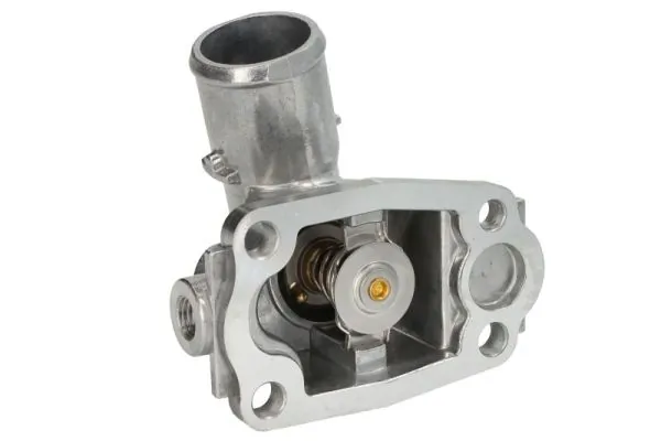 Termostat lichid racire