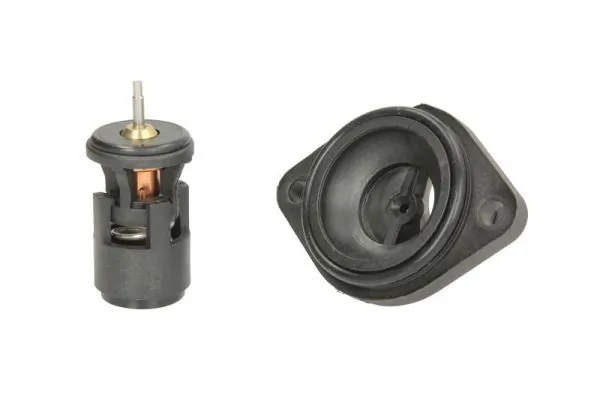 Termostat lichid racire