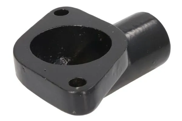 Carcasa termostat