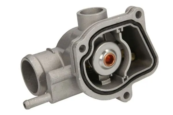 Termostat lichid racire