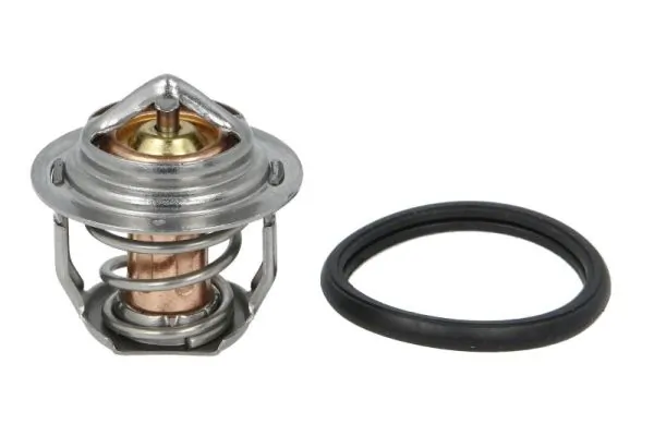 Termostat lichid racire