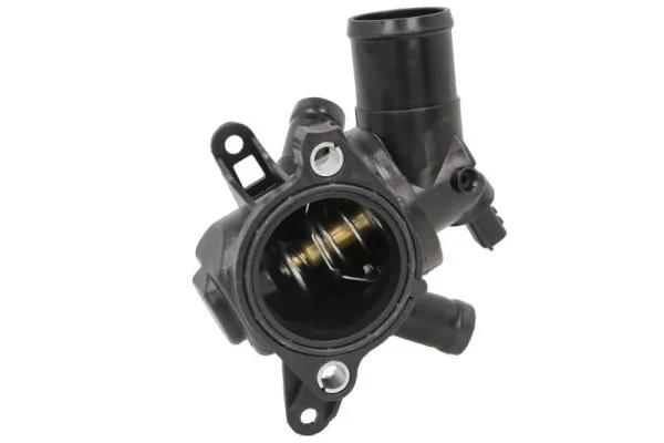Termostat lichid racire