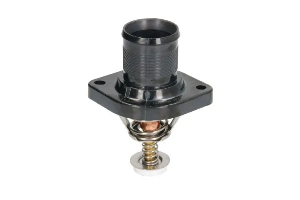 Termostat lichid racire