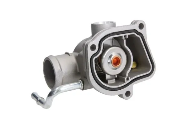 Termostat lichid racire