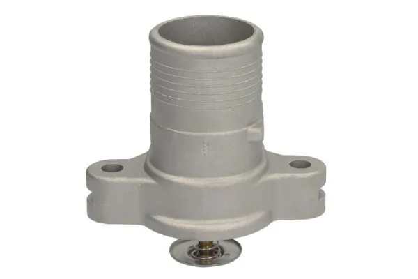 Termostat lichid racire