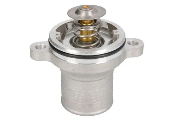 Termostat lichid racire