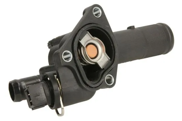 Termostat lichid racire