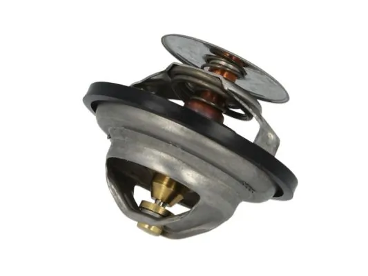 Termostat lichid racire