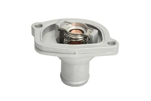 Termostat lichid racire