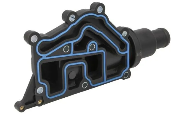 Termostat lichid racire