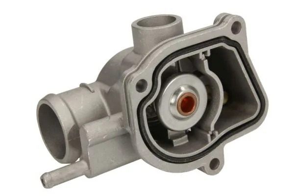 Termostat lichid racire