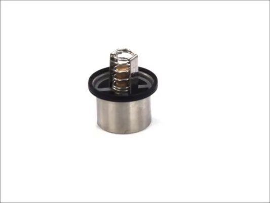 Termostat lichid racire