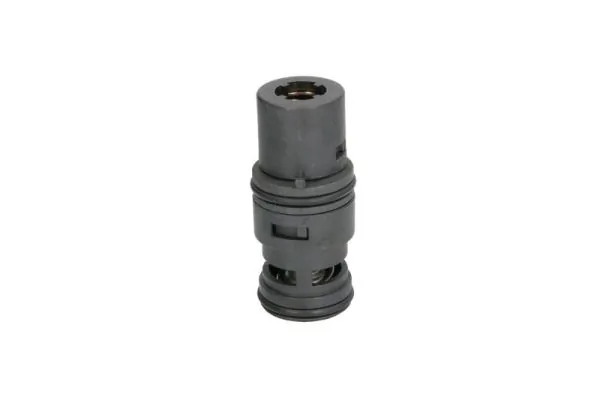 Termostat lichid racire