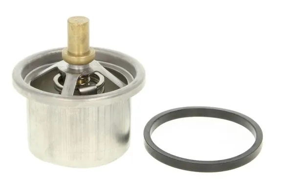 Termostat lichid racire
