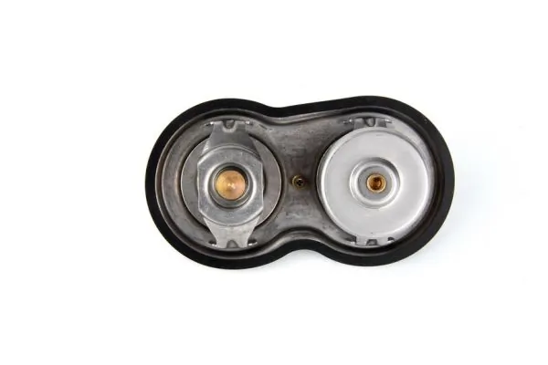 Termostat lichid racire