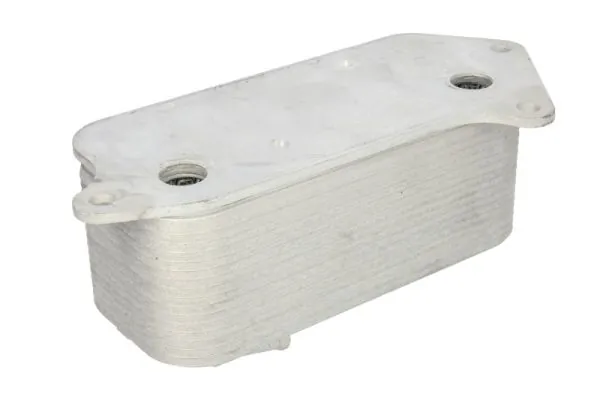 Radiator ulei / termoflot