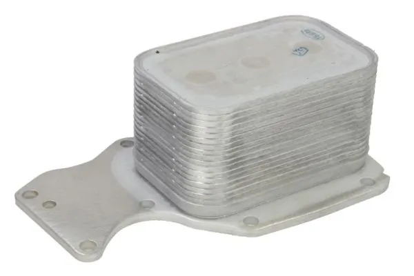 Radiator ulei / termoflot