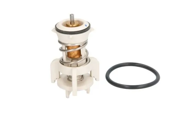 Termostat lichid racire