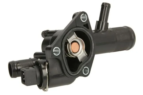 Termostat lichid racire