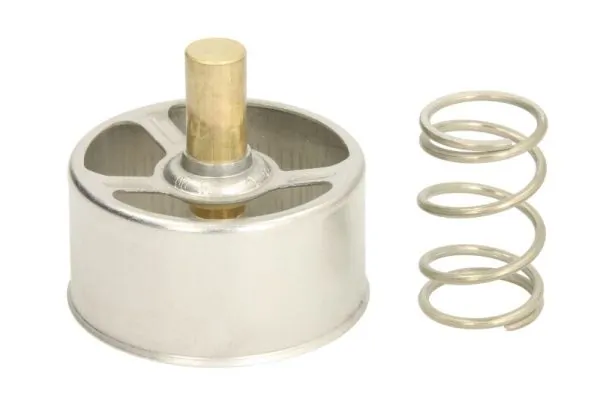 Termostat lichid racire