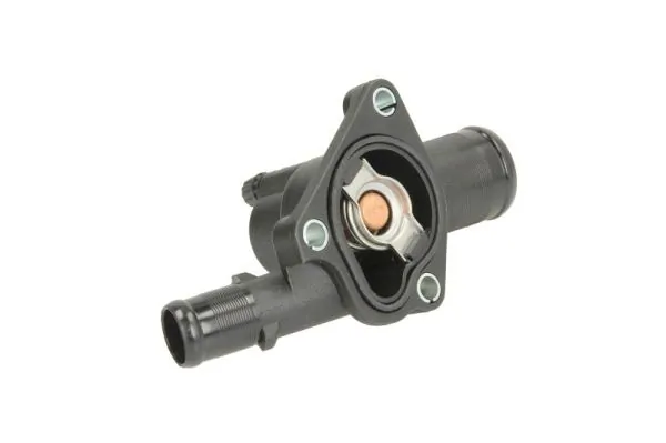 Termostat lichid racire