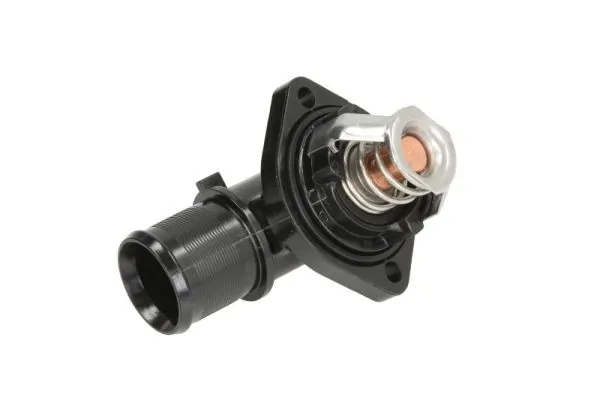Termostat lichid racire