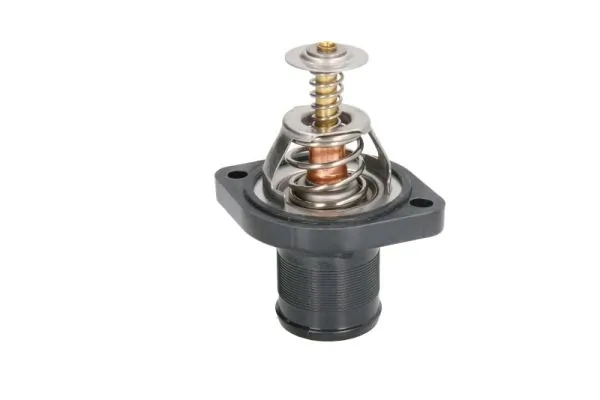 Termostat lichid racire