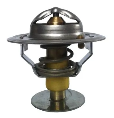 Termostat lichid racire