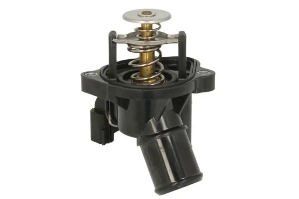 Termostat lichid racire