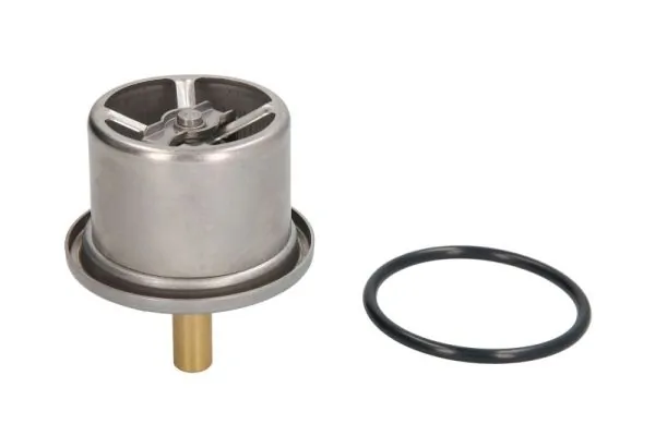 Termostat lichid racire