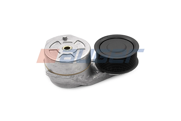 Intinzator curea, curea distributie