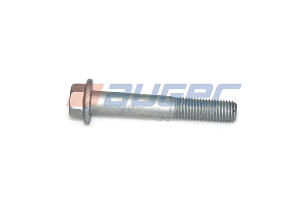 Bolt fixare, stabilizator