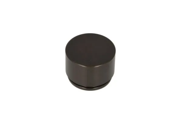 Piston, etrier frana