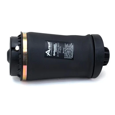 Arc pneumatic directie