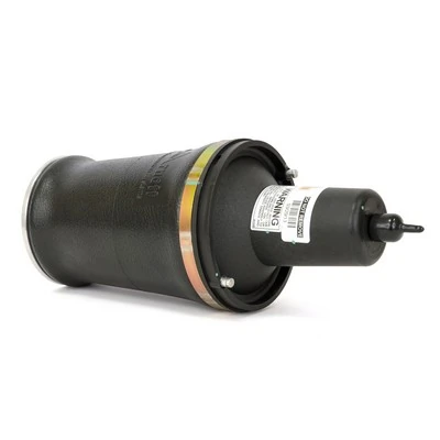 Arc pneumatic directie