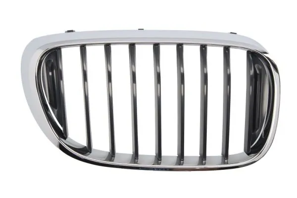 Grila radiator