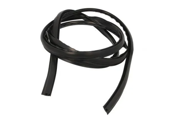 Elemente decorative/protectie, parbriz