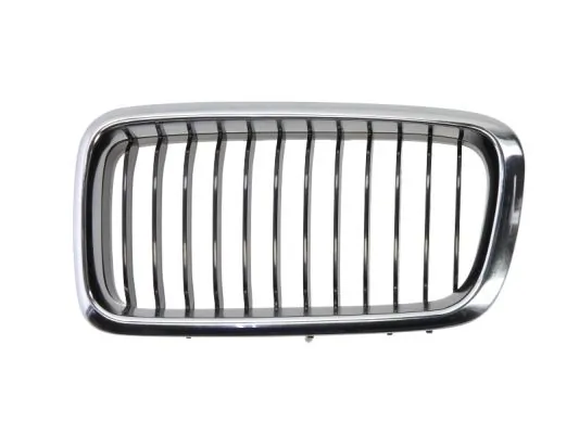 Grila radiator