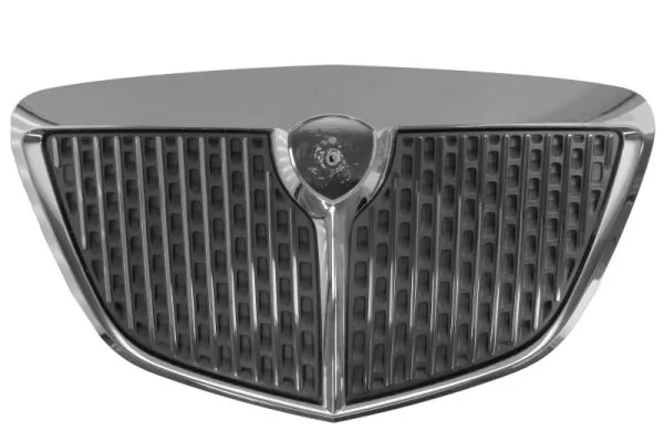 Grila radiator