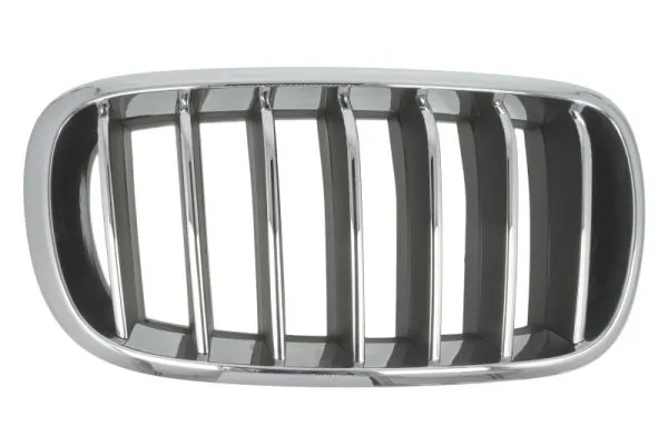 Grila radiator