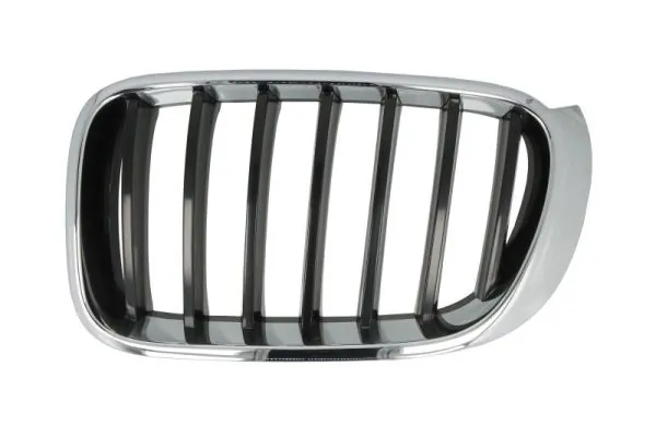 Grila radiator