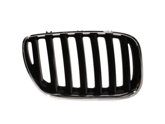 Grila radiator