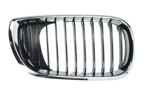 Grila radiator