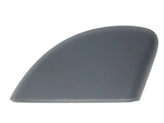 Carcasa oglinda exterioara